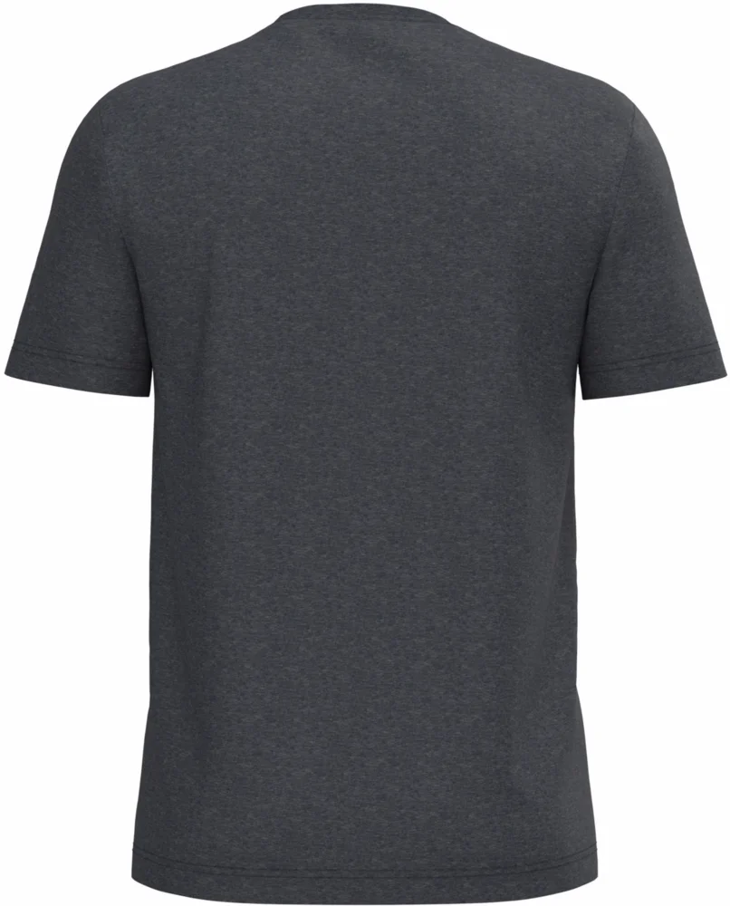 Herren Bio IC T-Shirt