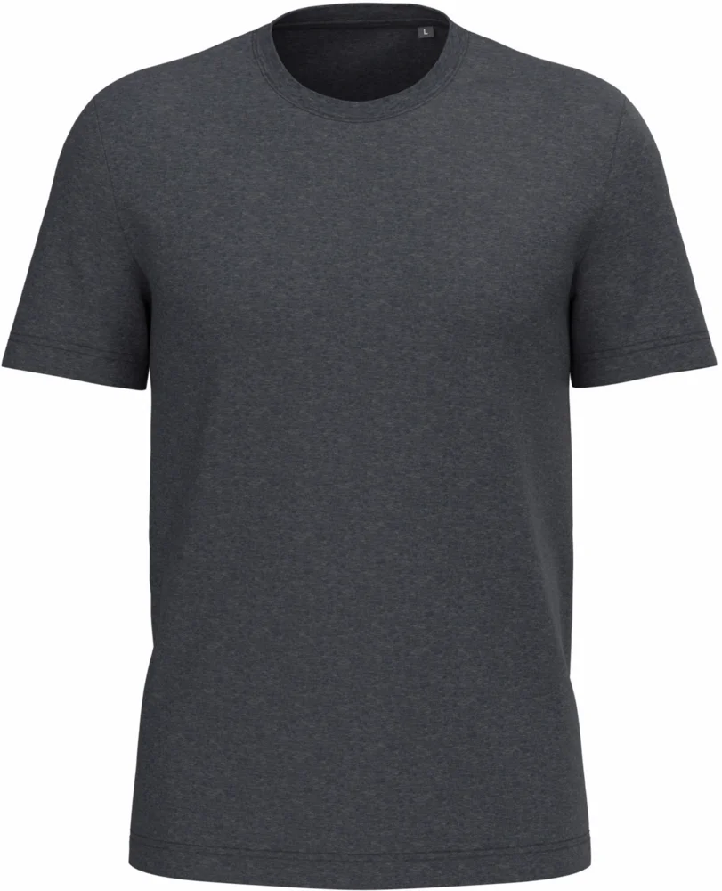 Herren Bio IC T-Shirt