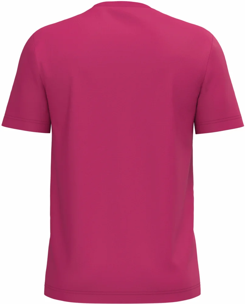Herren Bio IC T-Shirt