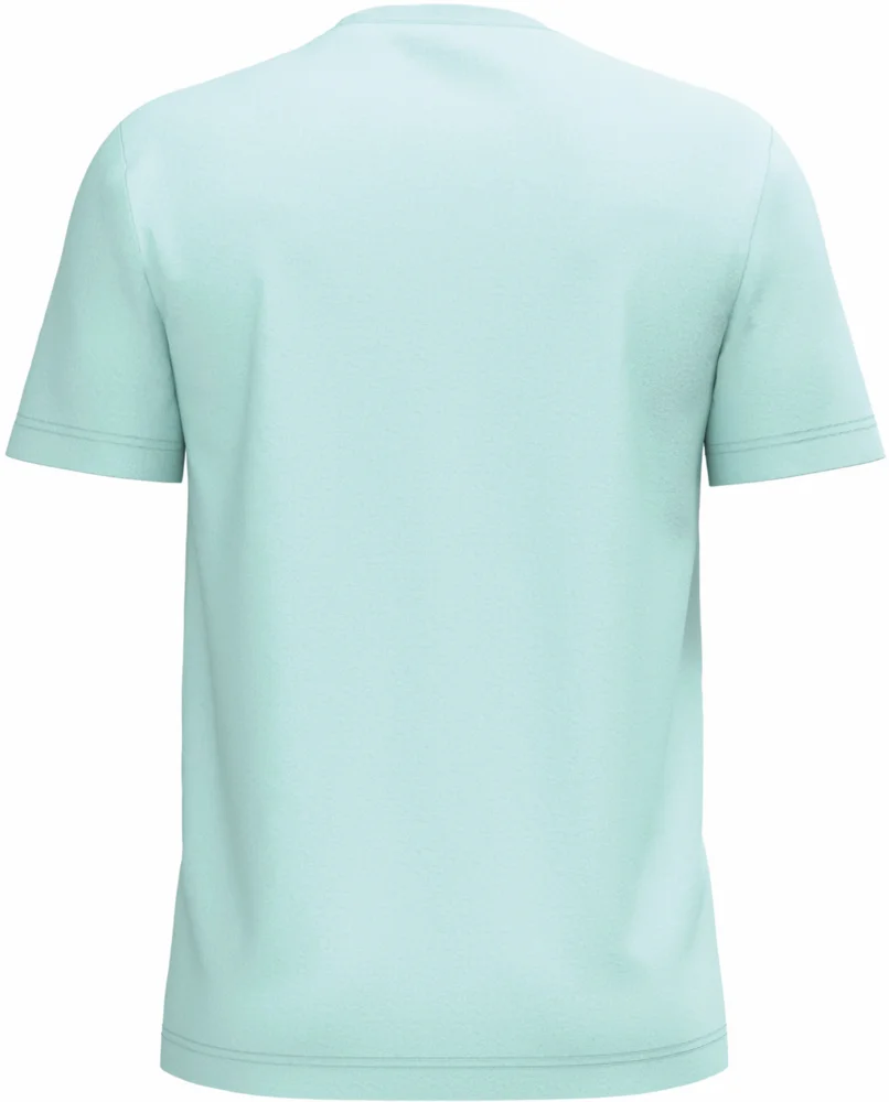 Herren Bio IC T-Shirt