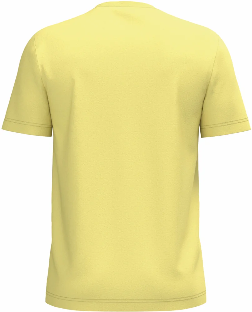 Herren Bio IC T-Shirt