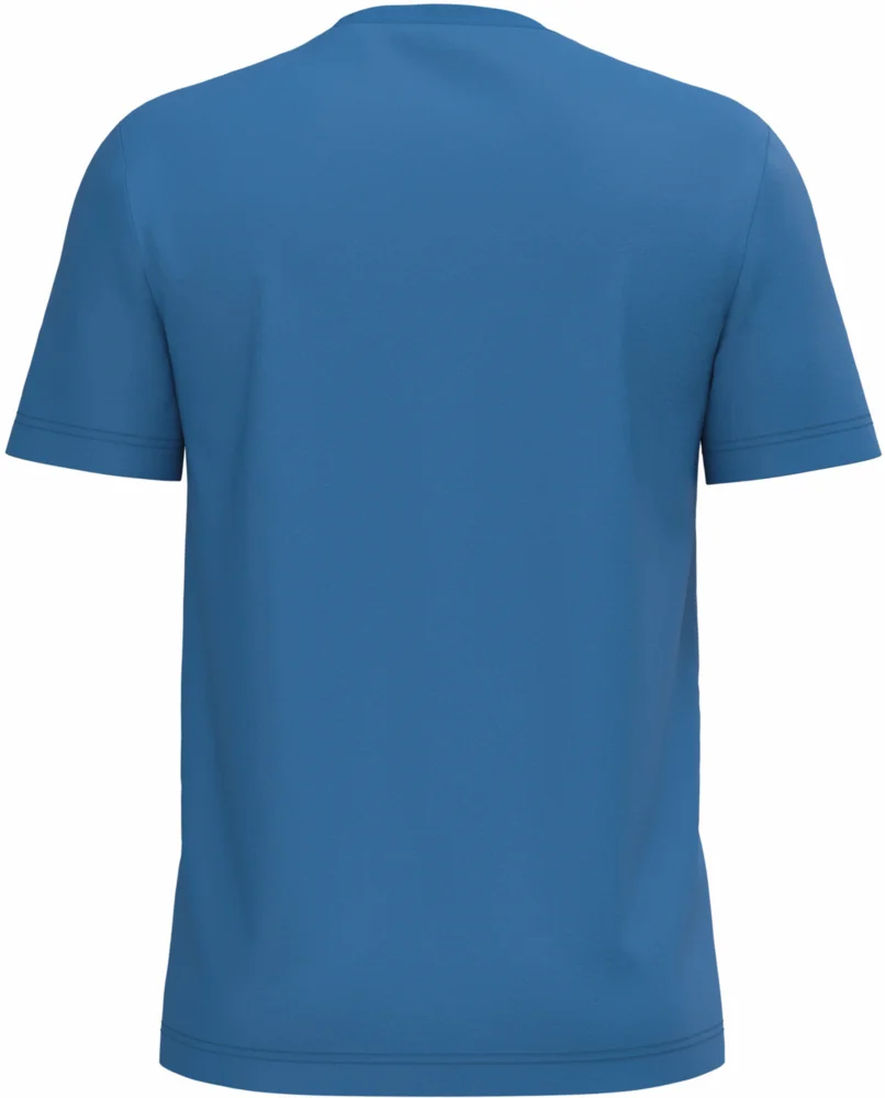 Herren Bio IC T-Shirt