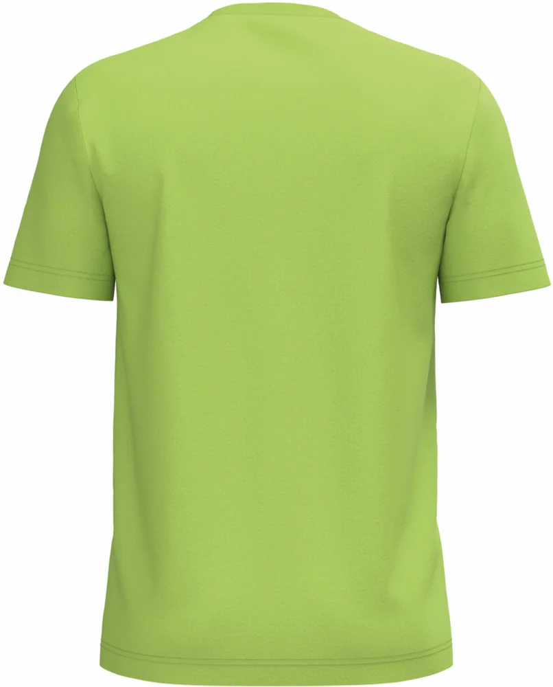 Herren Bio IC T-Shirt
