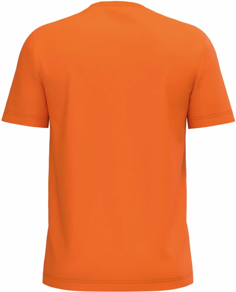 Herren Bio IC T-Shirt