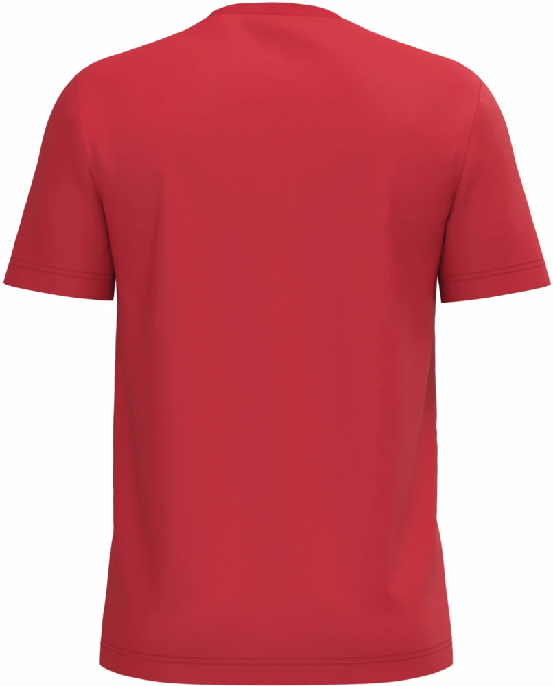 Herren Bio IC T-Shirt