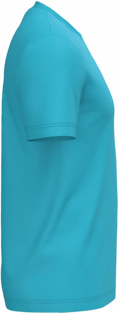 Herren Bio IC T-Shirt