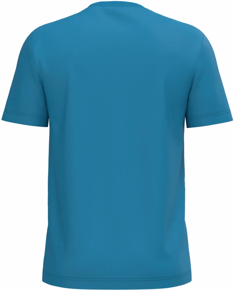 Herren Bio IC T-Shirt