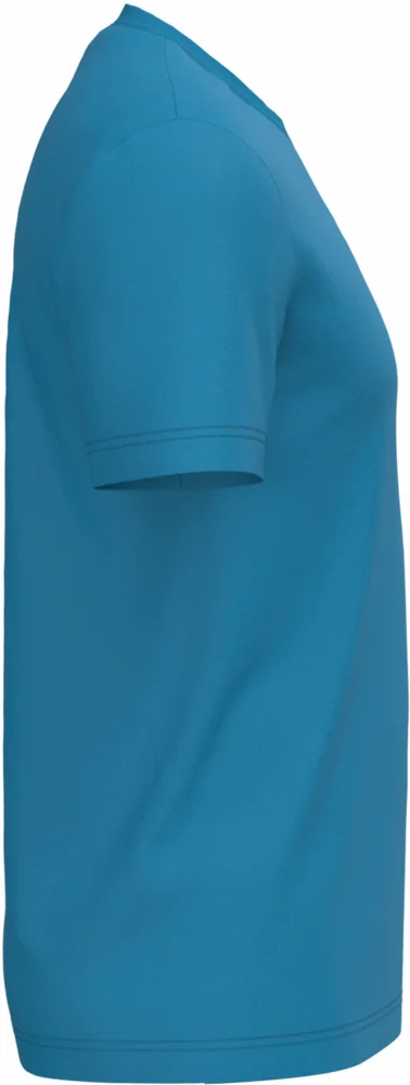 Herren Bio IC T-Shirt