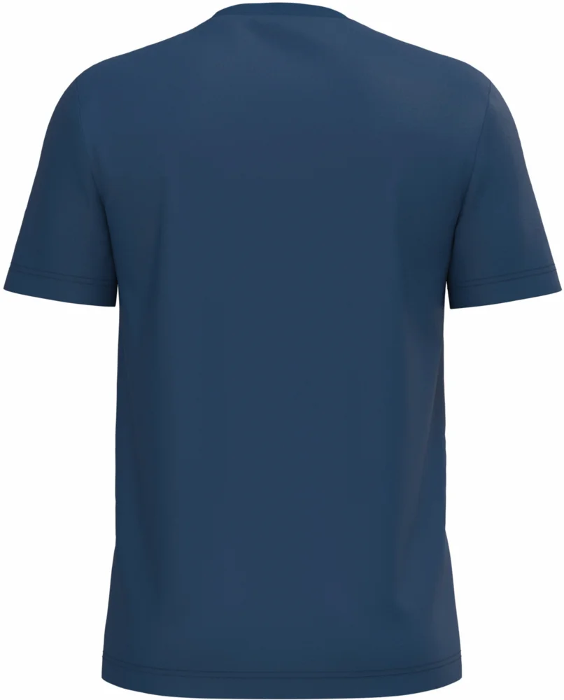 Herren Bio IC T-Shirt
