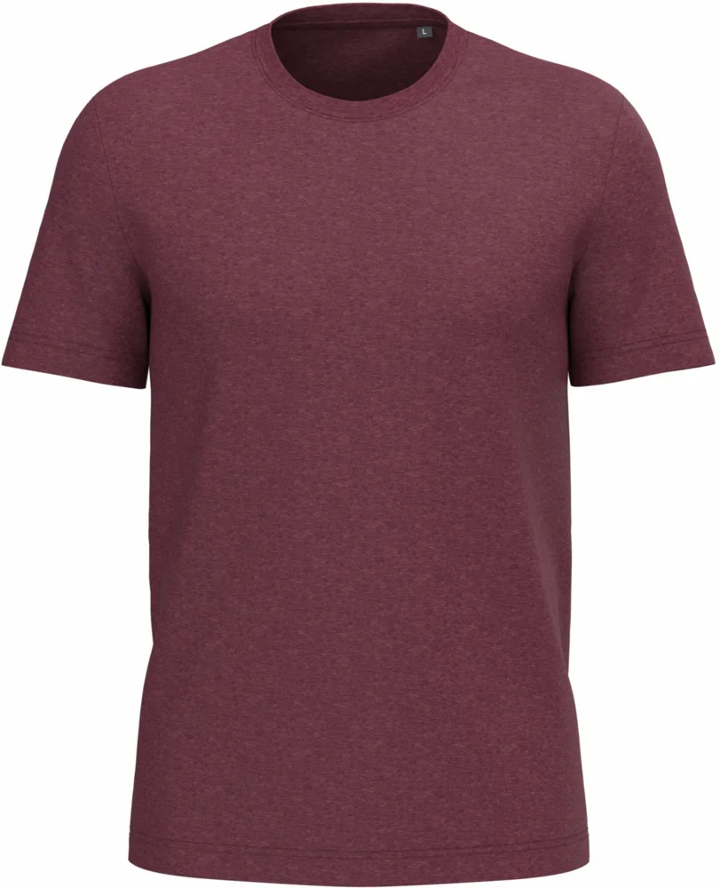 Herren Bio IC T-Shirt