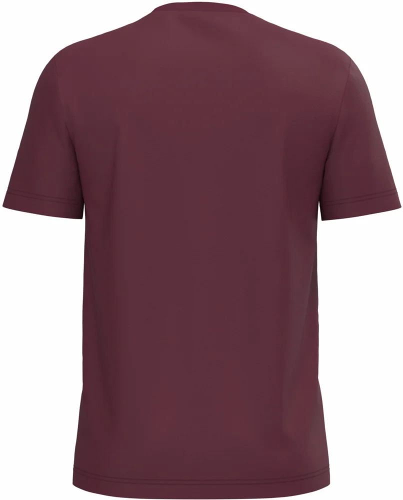 Herren Bio IC T-Shirt