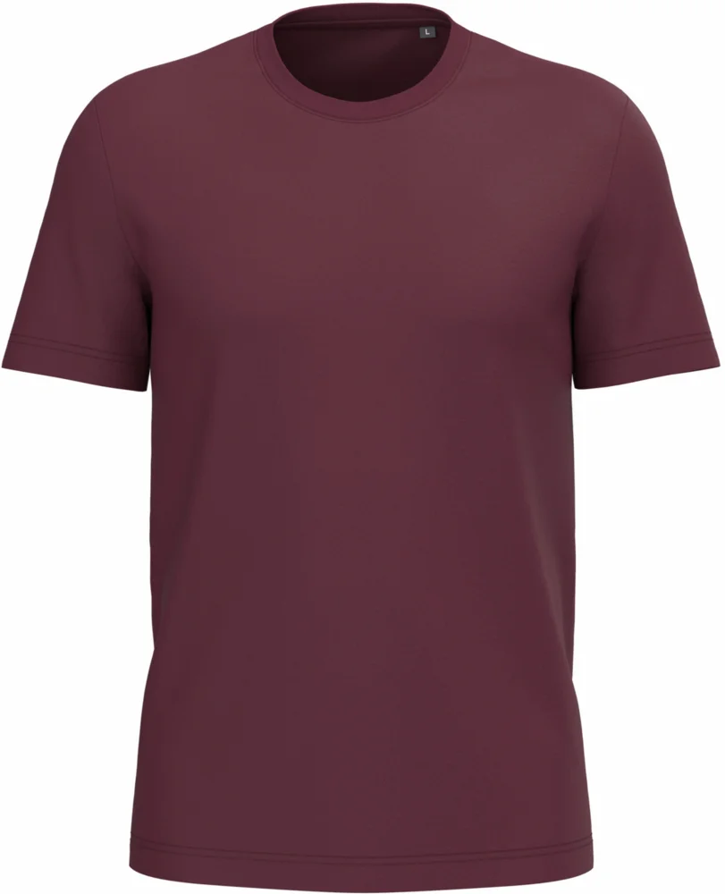 Herren Bio IC T-Shirt