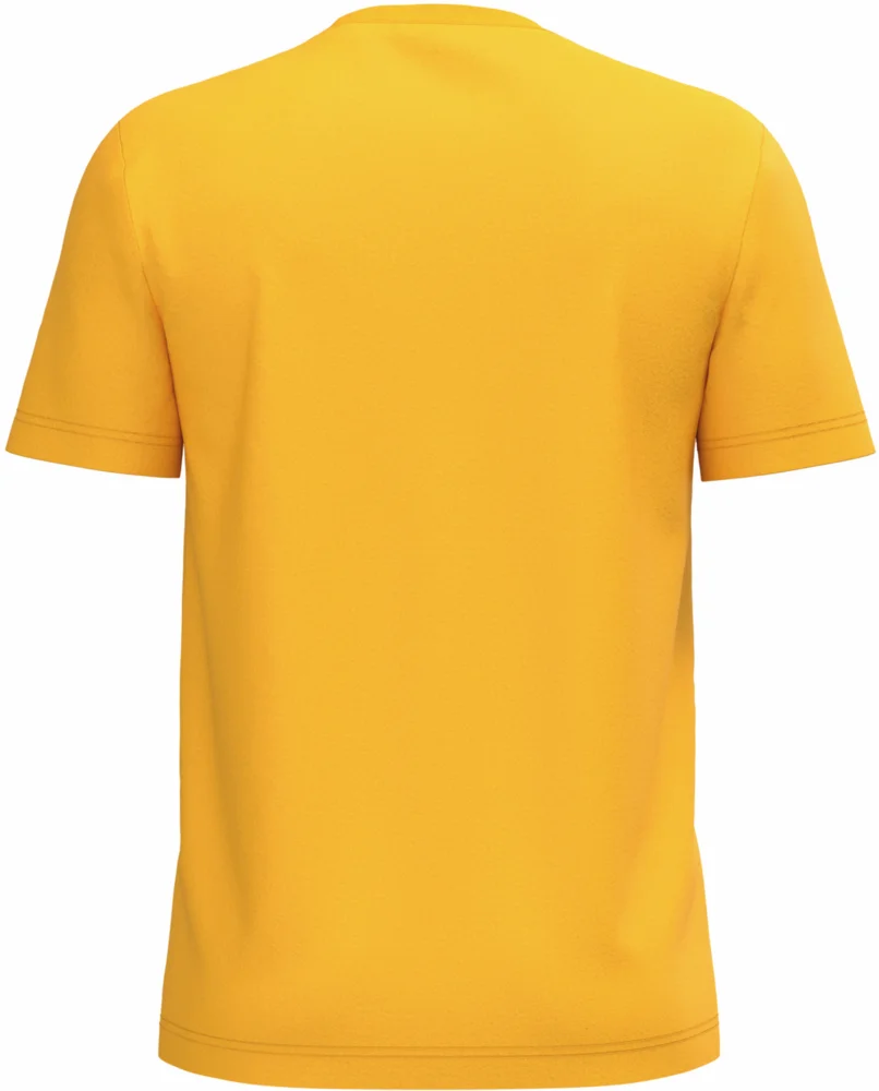 Herren Bio IC T-Shirt