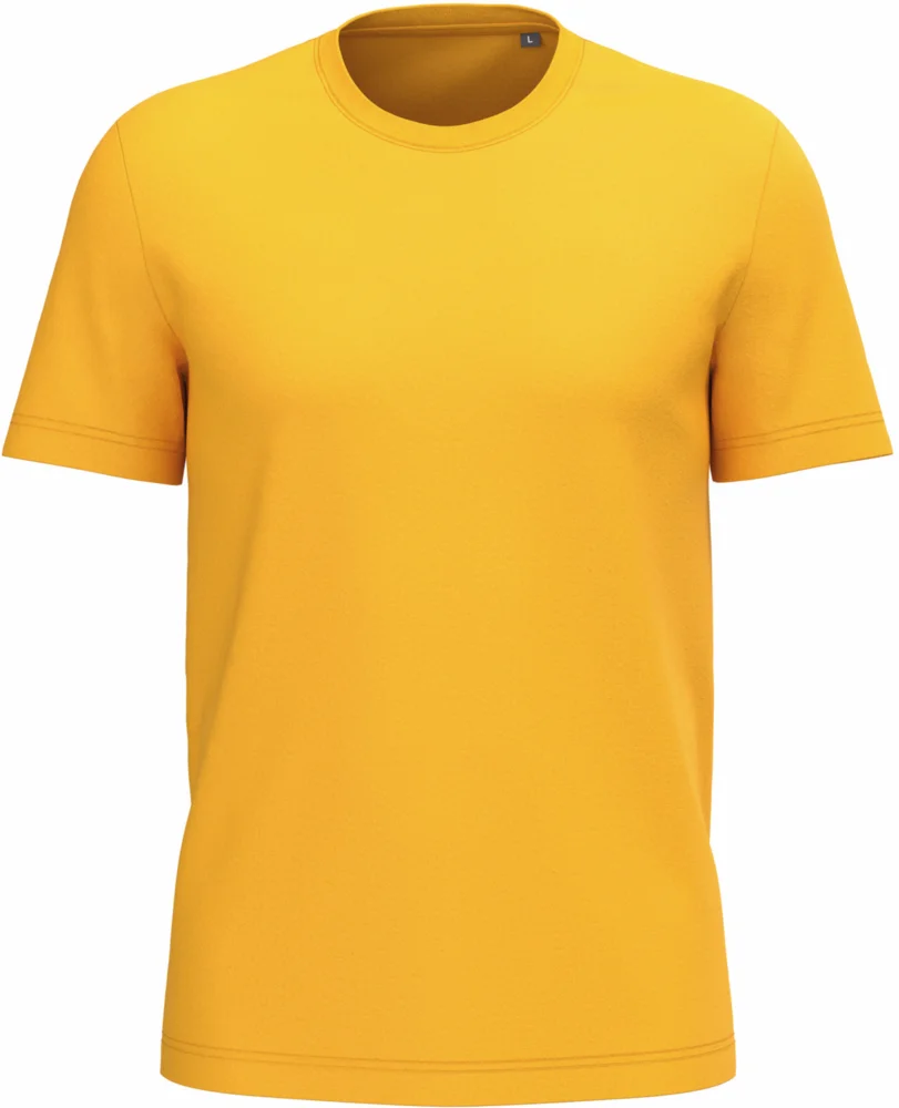 Herren Bio IC T-Shirt