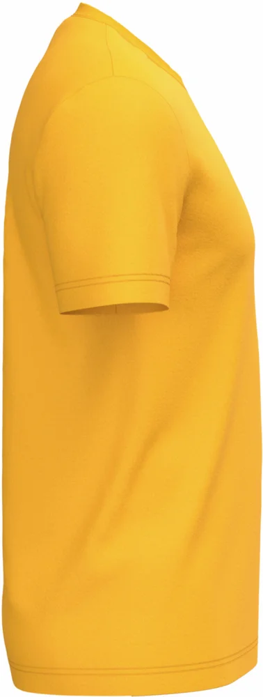 Herren Bio IC T-Shirt