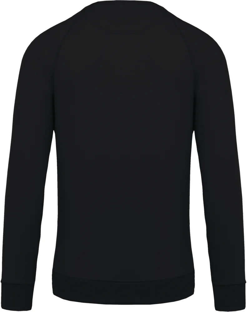 Herren Bio Raglan Sweater