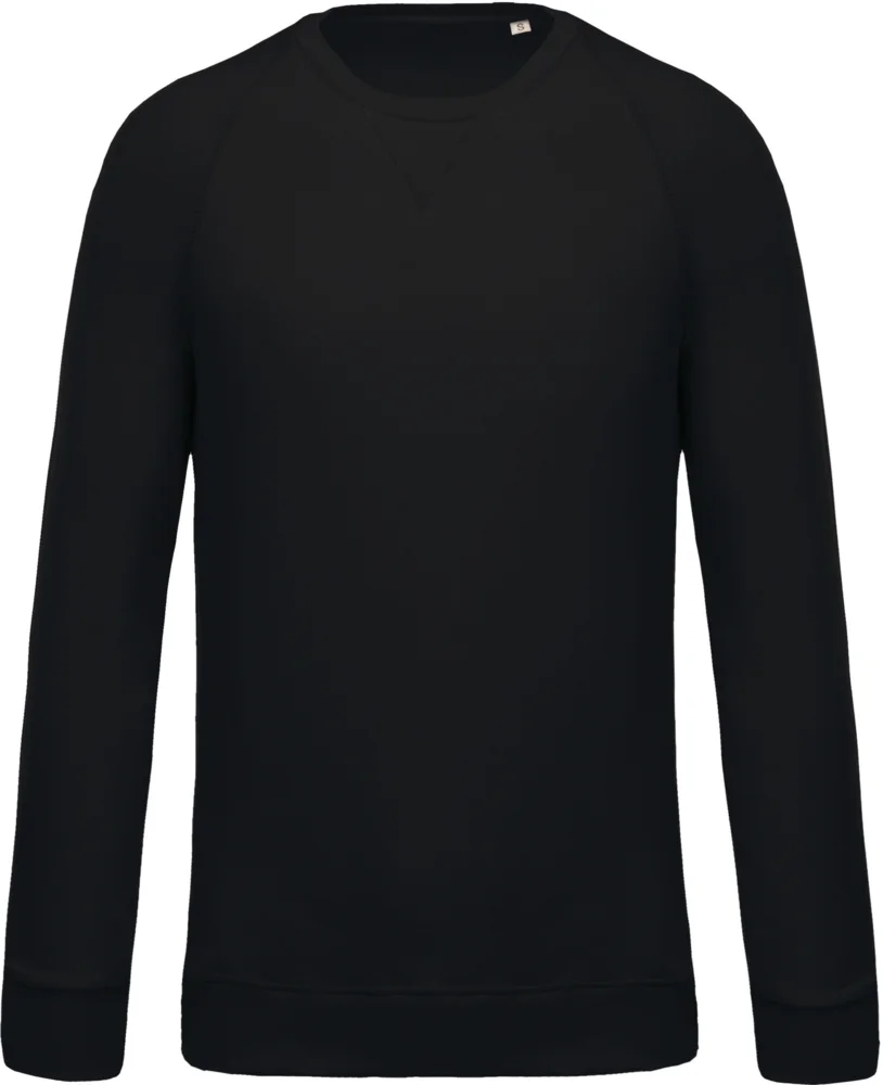 Herren Bio Raglan Sweater