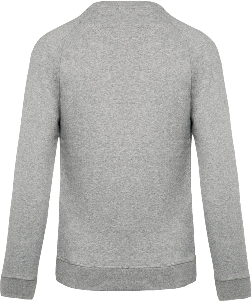 Herren Bio Raglan Sweater