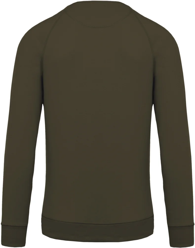 Herren Bio Raglan Sweater