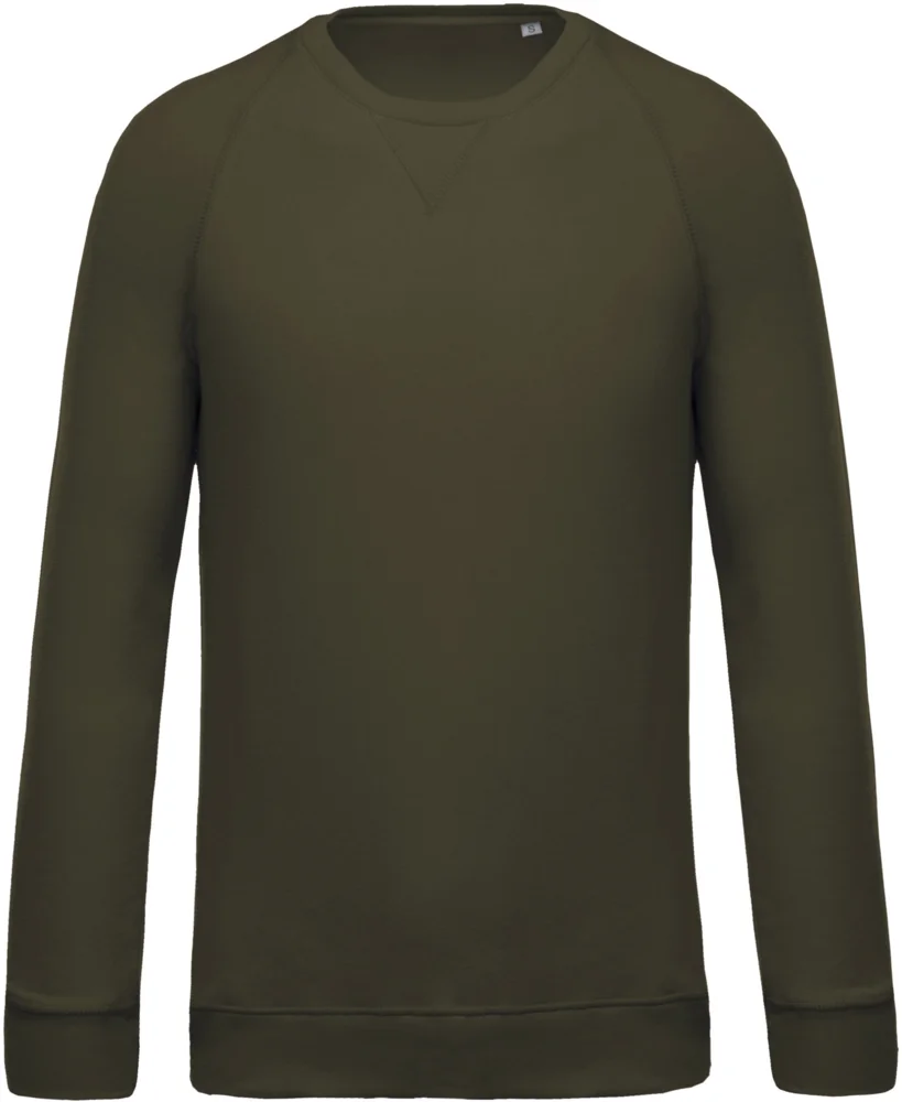 Herren Bio Raglan Sweater