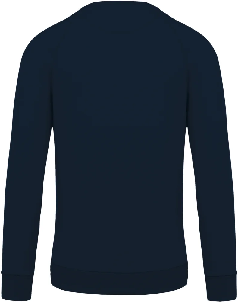 Herren Bio Raglan Sweater