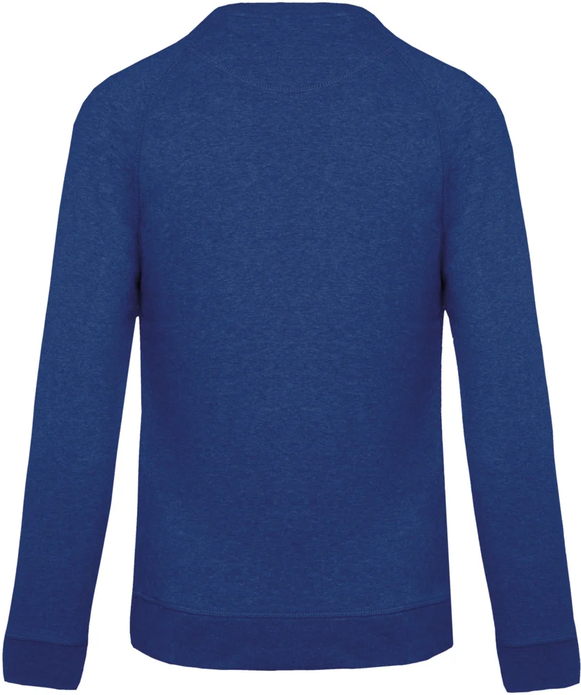 Herren Bio Raglan Sweater