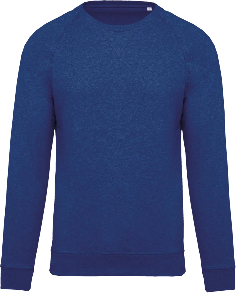Herren Bio Raglan Sweater