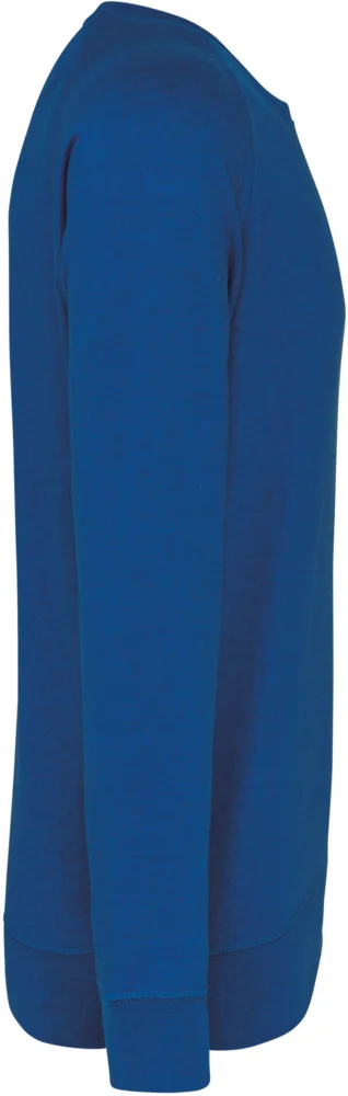 Herren Bio Raglan Sweater