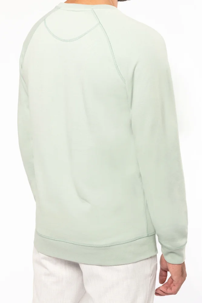 Herren Bio Raglan Sweater