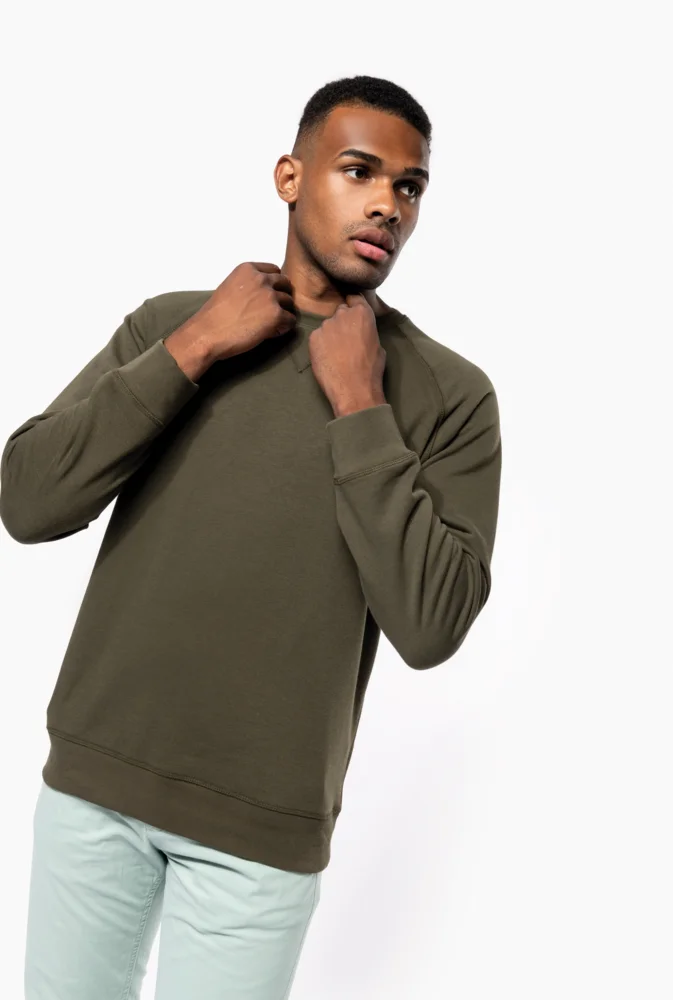 Herren Bio Raglan Sweater