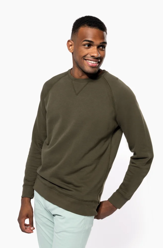 Herren Bio Raglan Sweater