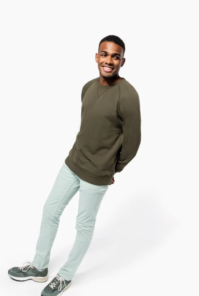 Herren Bio Raglan Sweater