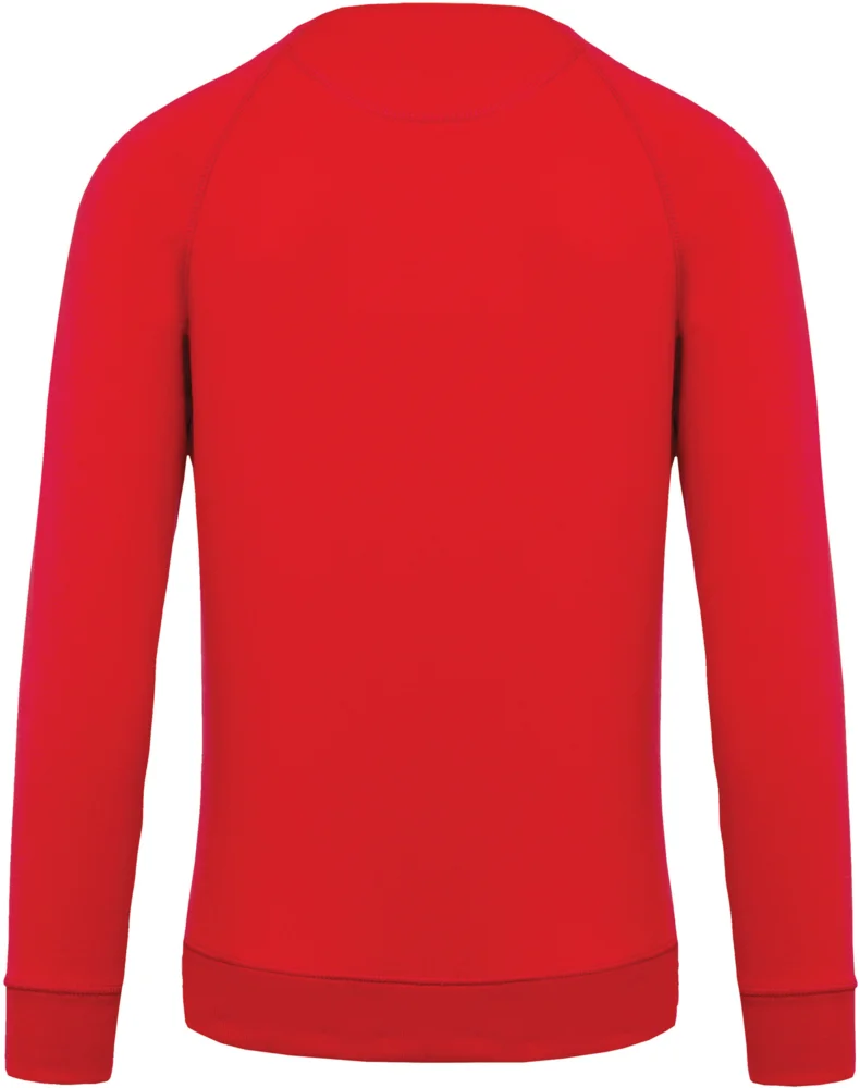 Herren Bio Raglan Sweater