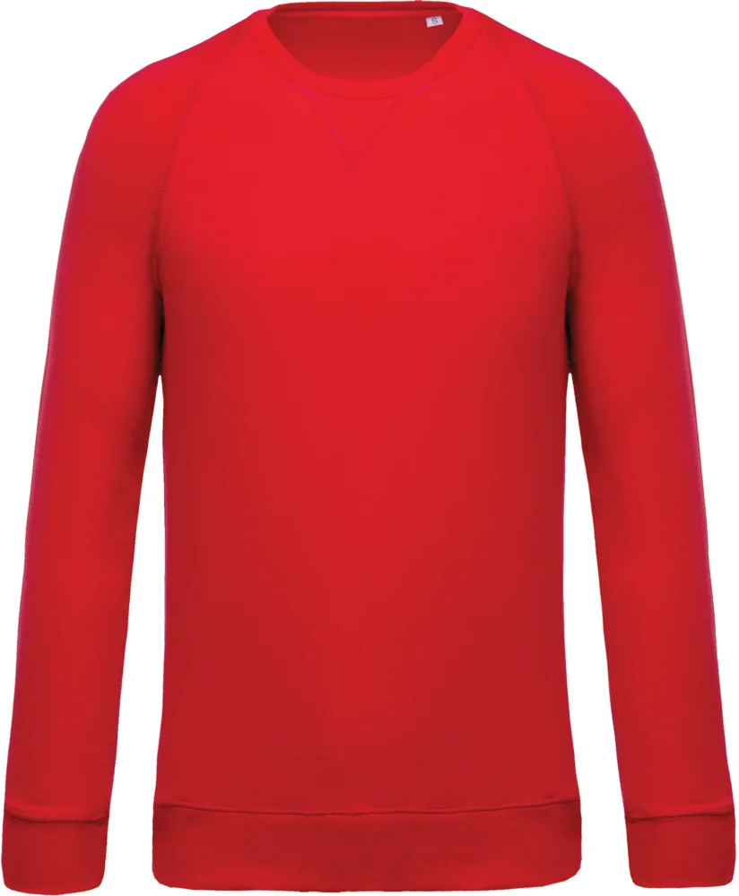 Herren Bio Raglan Sweater