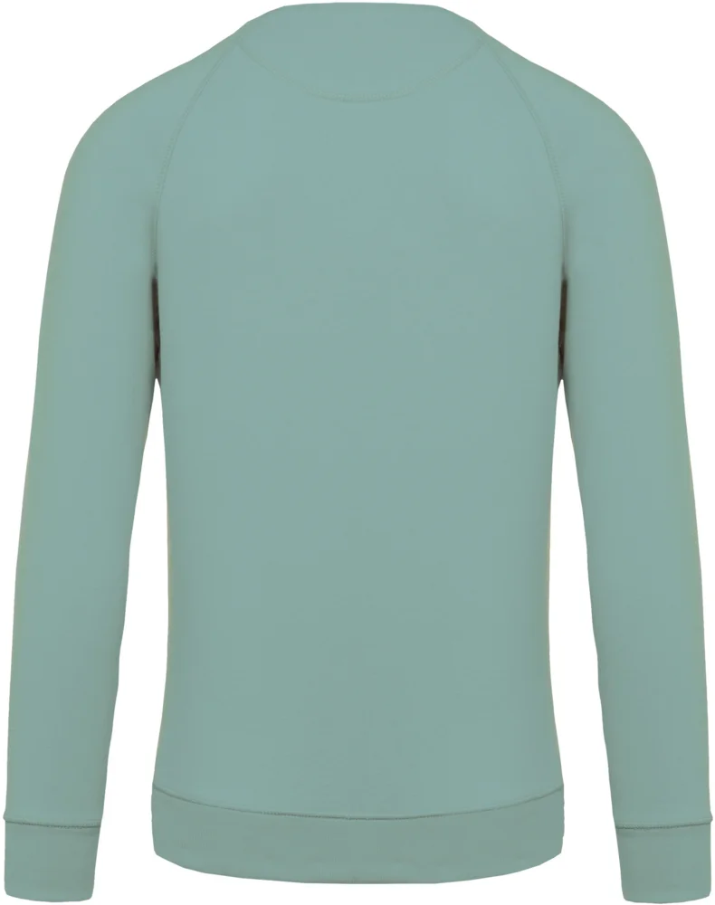 Herren Bio Raglan Sweater