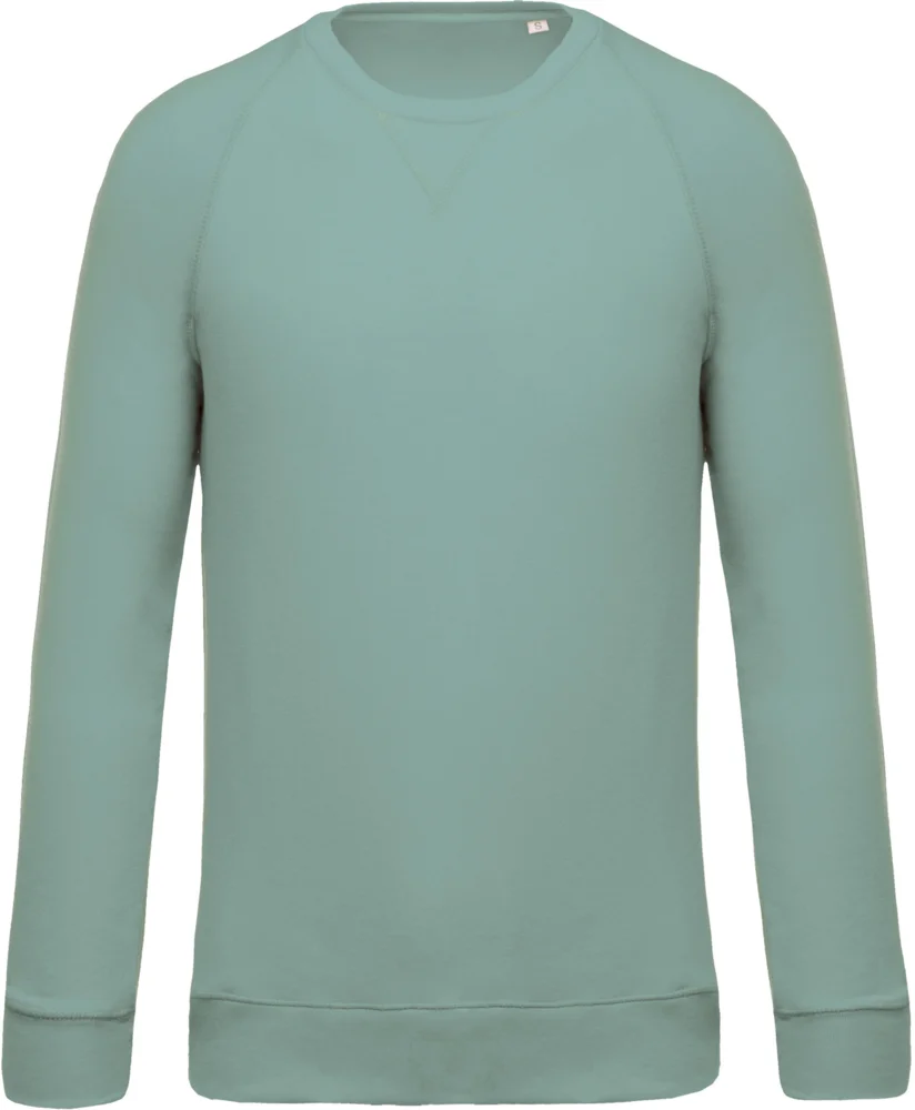 Herren Bio Raglan Sweater