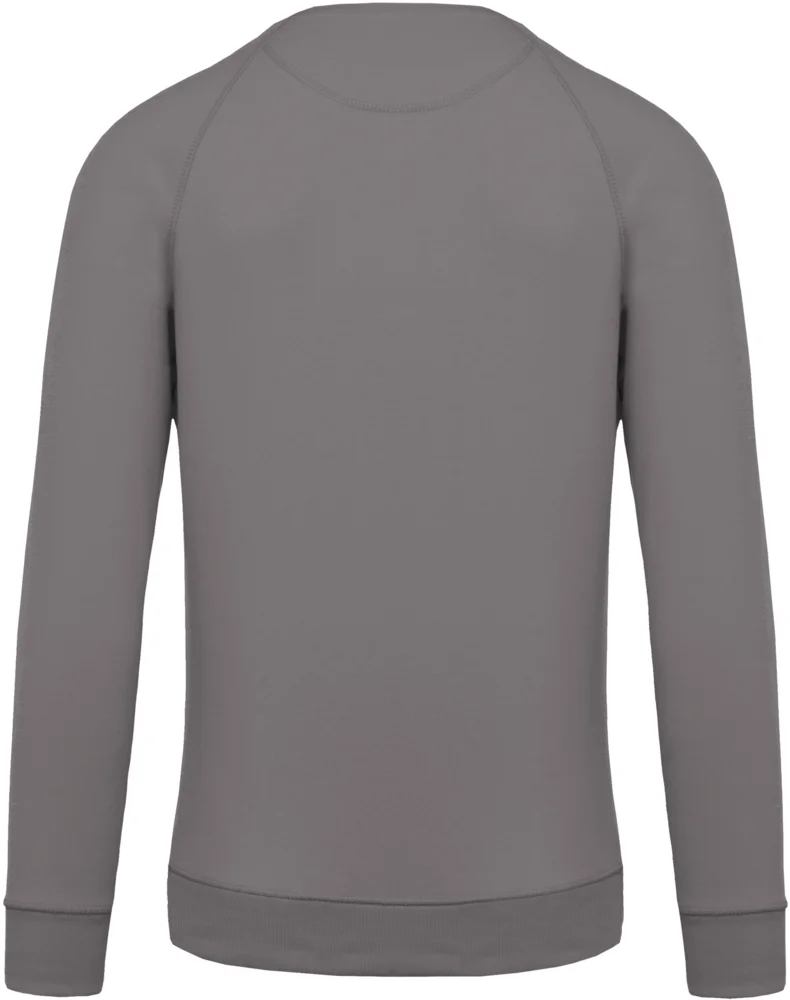 Herren Bio Raglan Sweater
