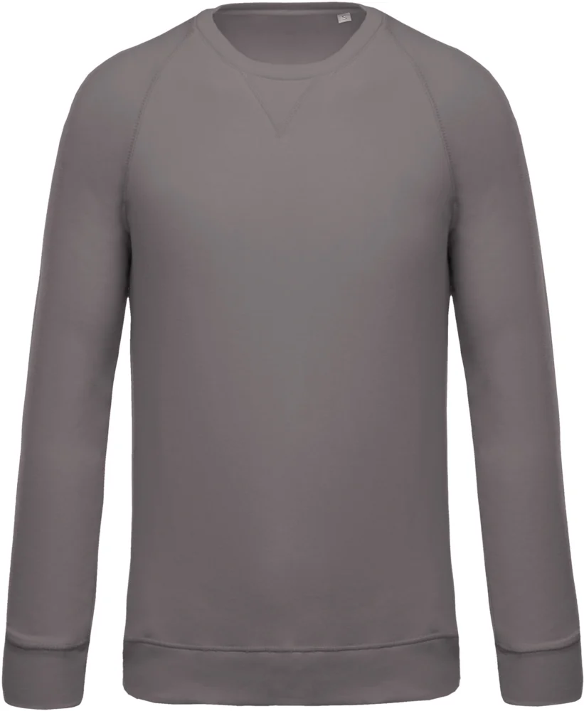 Herren Bio Raglan Sweater