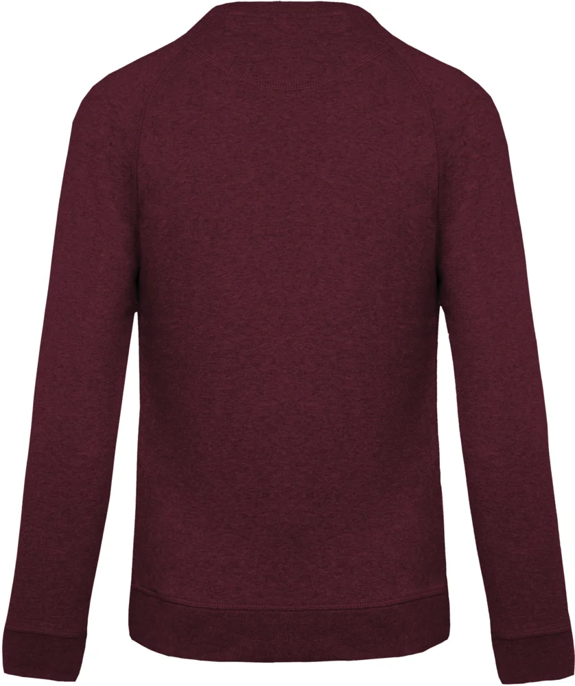 Herren Bio Raglan Sweater