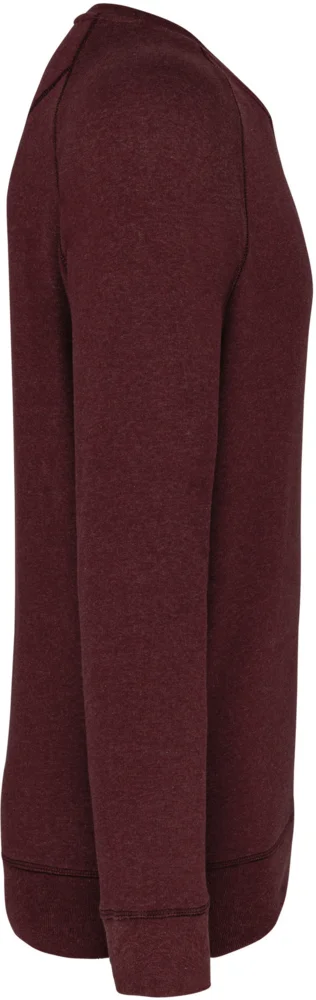 Herren Bio Raglan Sweater