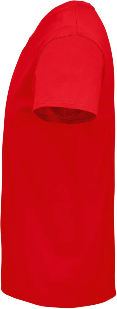 Herren Bio T-Shirt