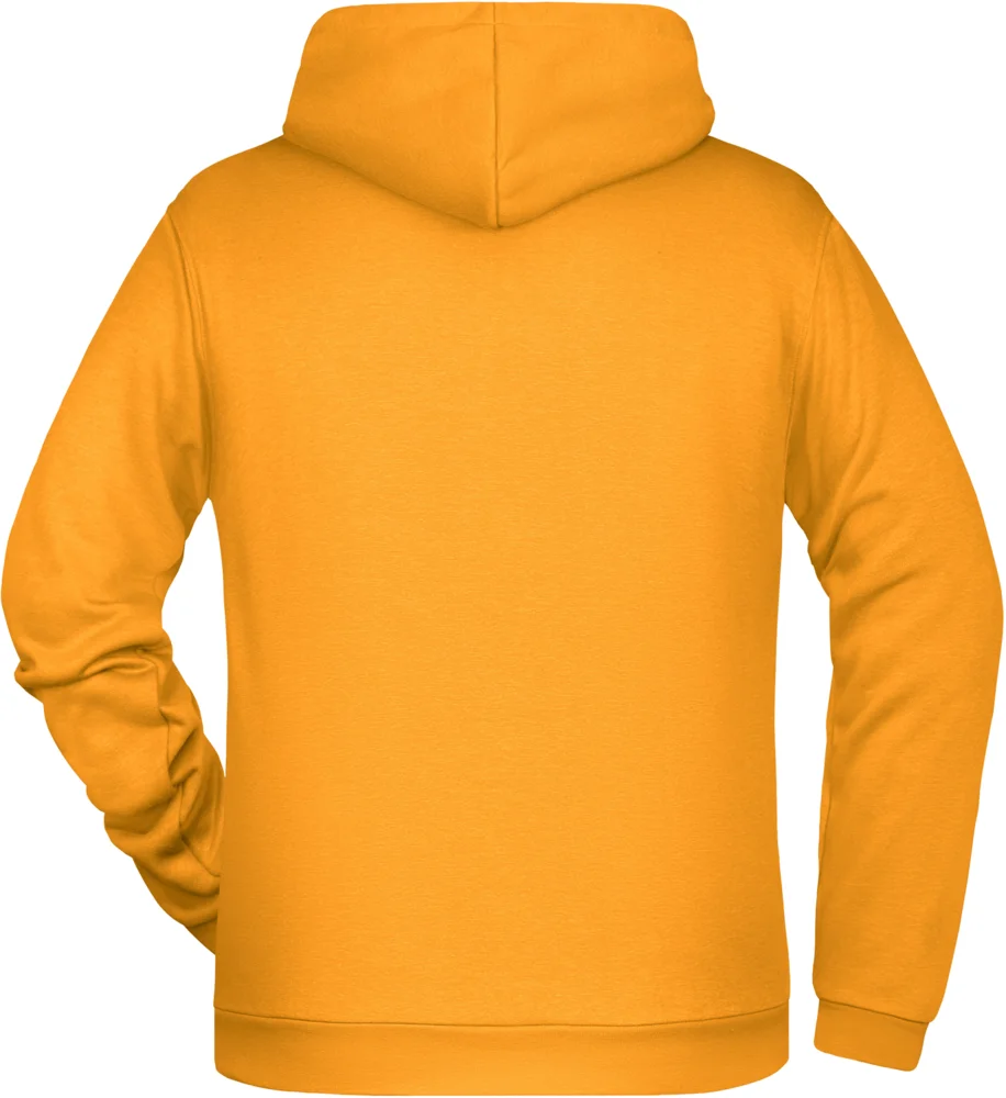 Herren Kapuzen Sweater