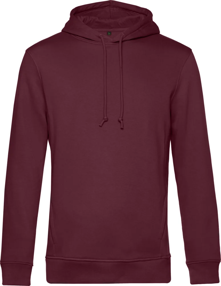 Herren Kapuzen Sweater