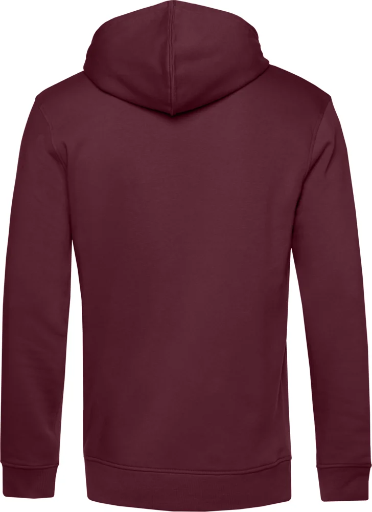 Herren Kapuzen Sweater
