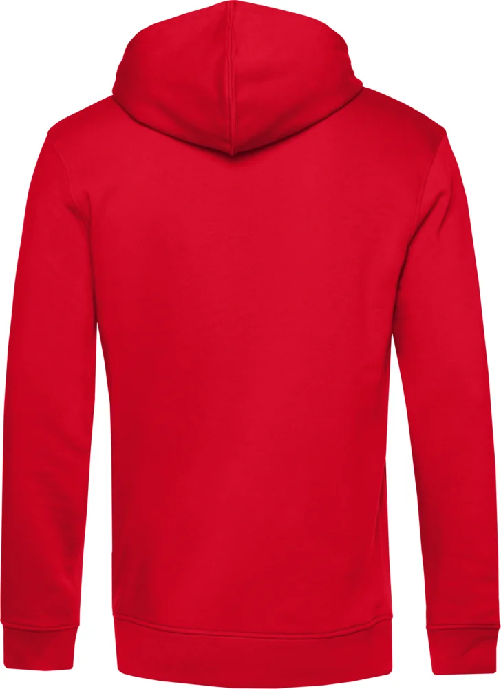 Herren Kapuzen Sweater
