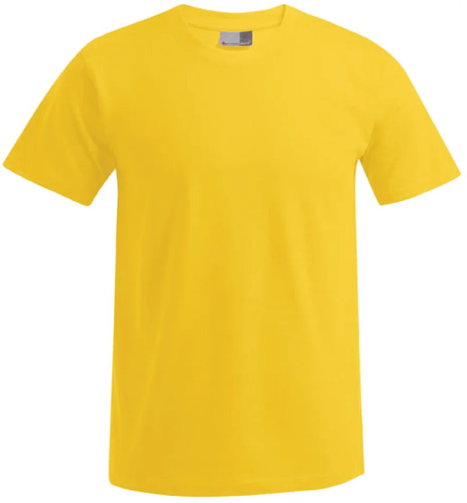 Herren Premium T-Shirt