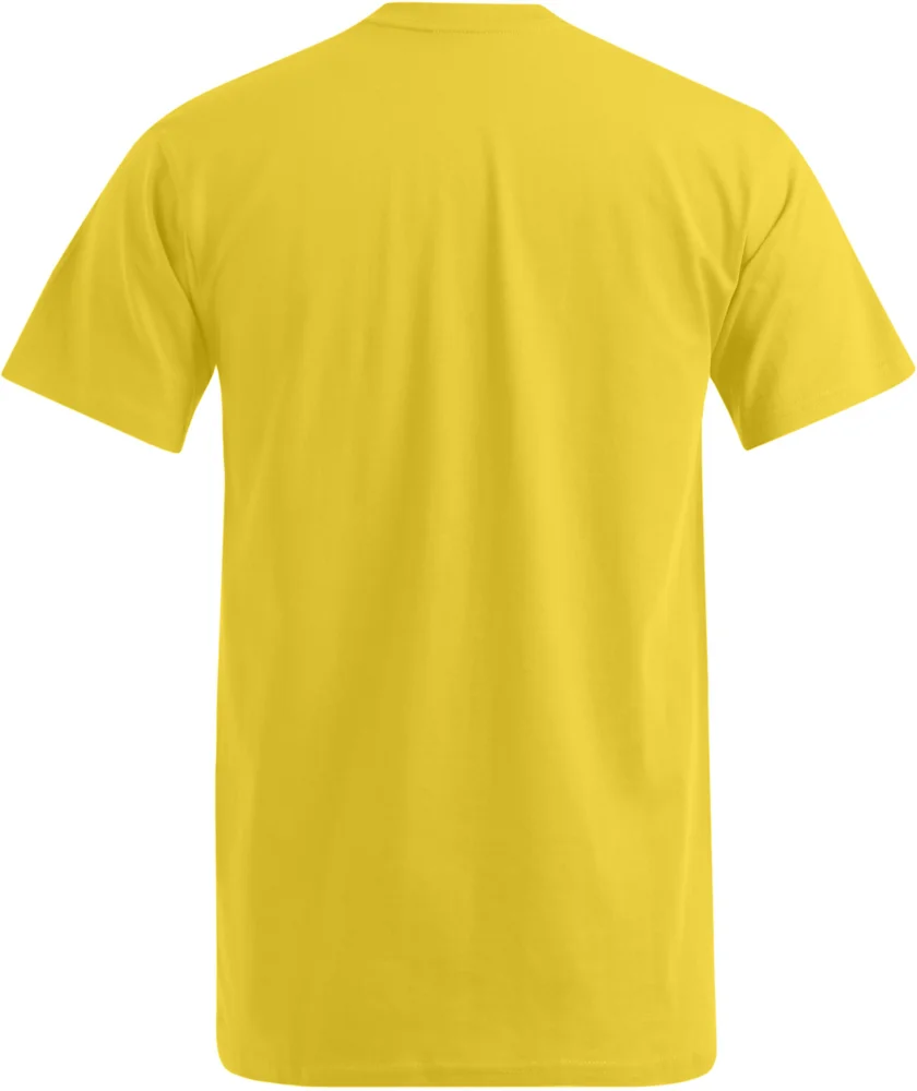 Herren Premium V-Ausschnitt T-Shirt