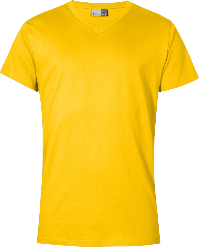 Herren Premium V-Ausschnitt T-Shirt