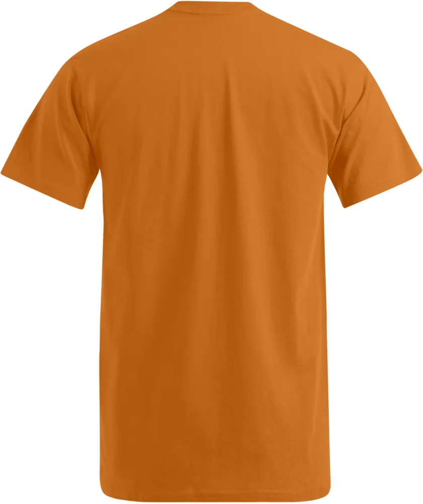Herren Premium V-Ausschnitt T-Shirt