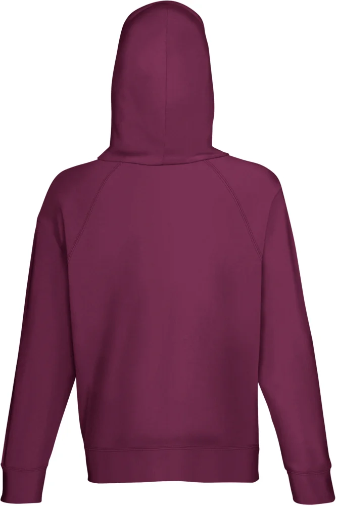 Men's Raglan Hooded Sweatshirt